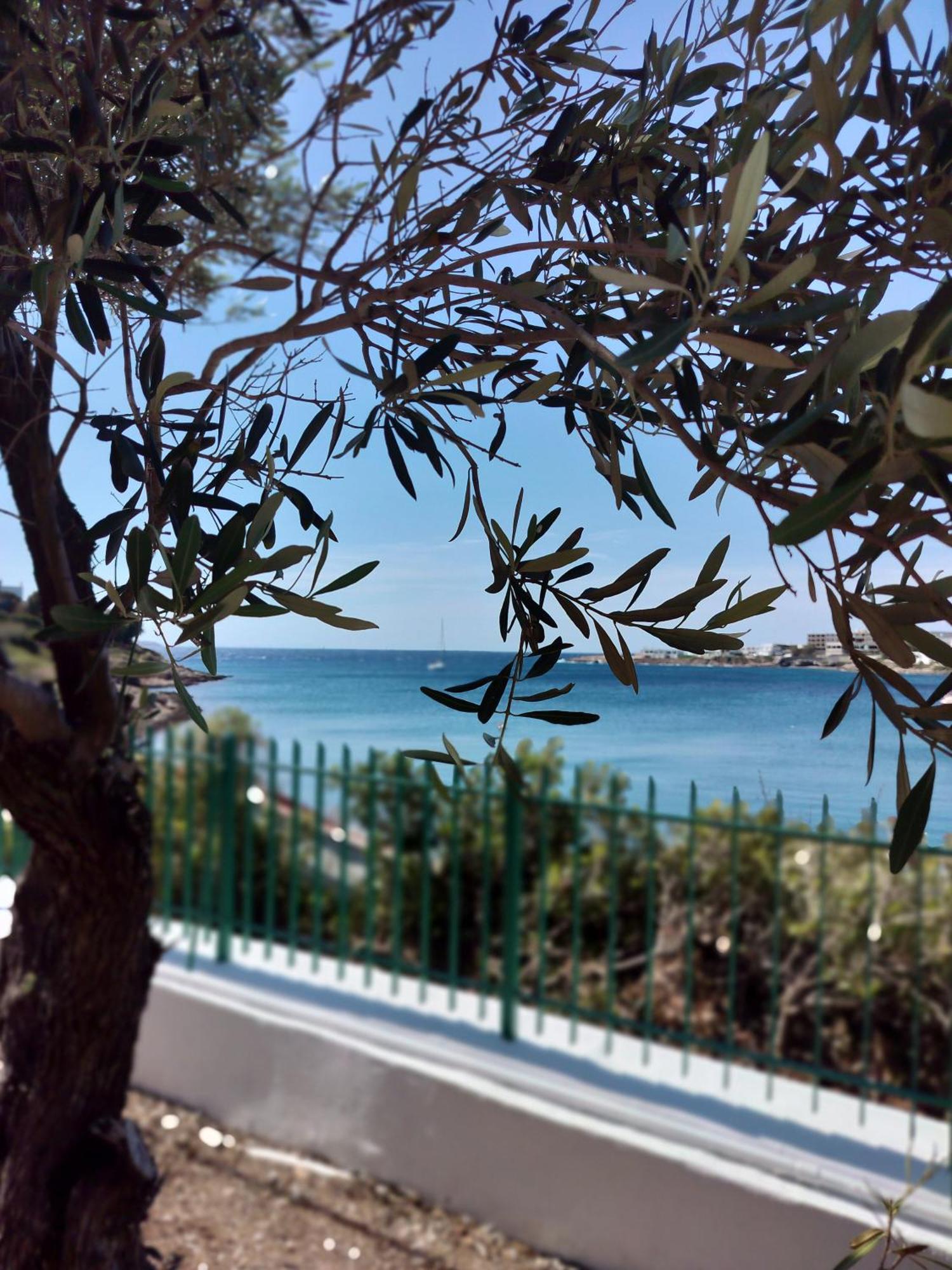 Cap Sounion Seafront Apartments -Adults Only Exterior foto