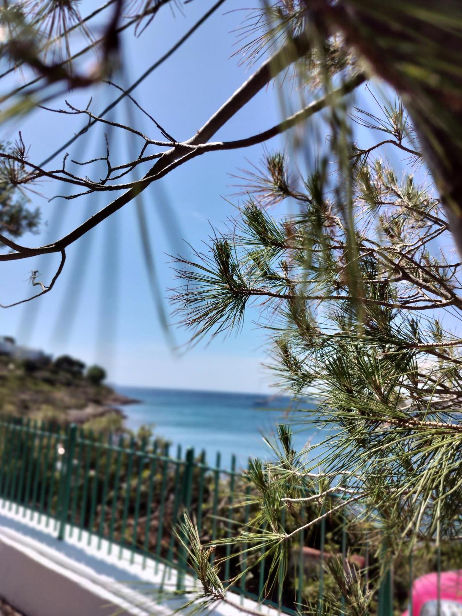 Cap Sounion Seafront Apartments -Adults Only Exterior foto